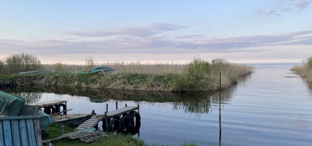 Субботник на нашей базе в Коккорево ВРООиР охота и рыбалка